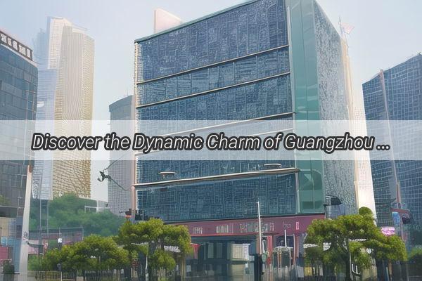 Discover the Dynamic Charm of Guangzhou A Journey Tailored by Zhongyuan Expressway Corporation